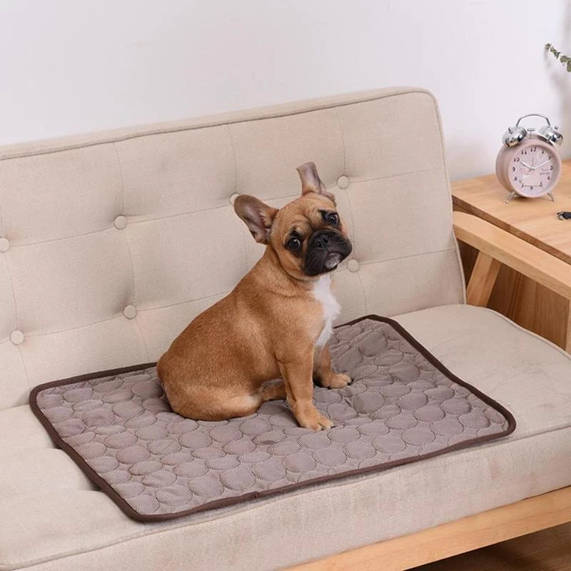 Zomerkoelmat voor Honden