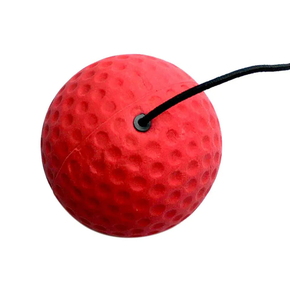 Boks Reflexbal