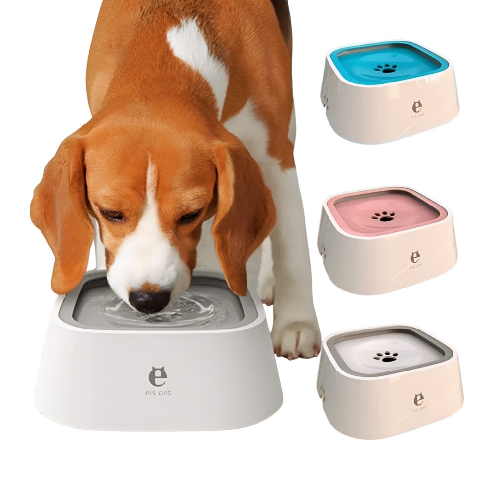 Anti-lekbak voor Honden