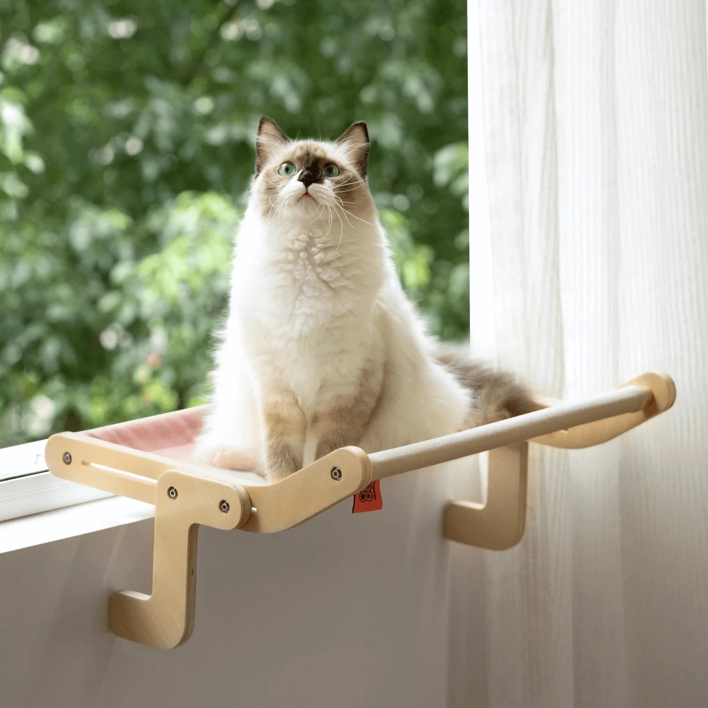 Stevige Hangende Kattenmand