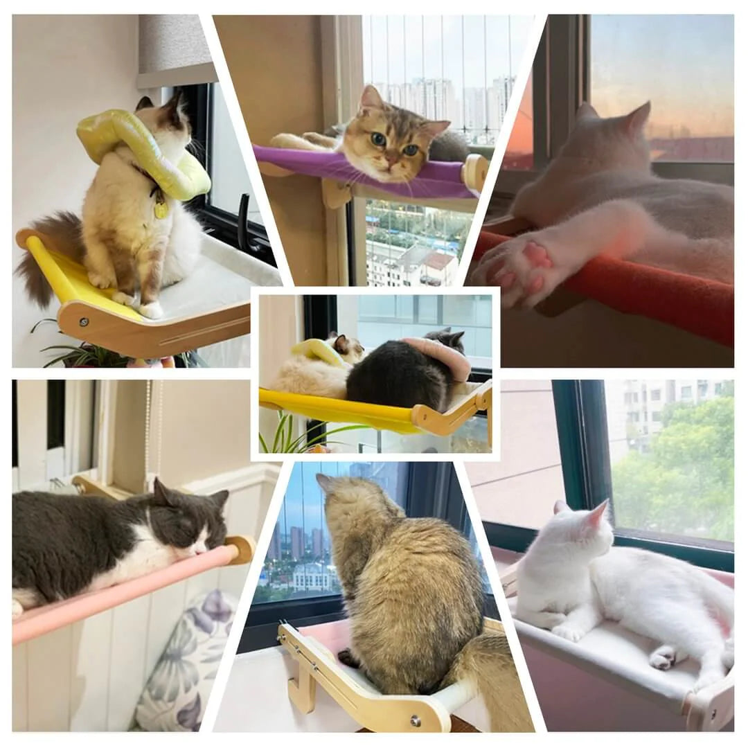Stevige Hangende Kattenmand