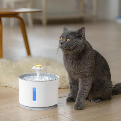 Automatische Waterfontein voor Katten