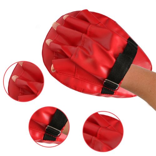2x Boxing Mitts