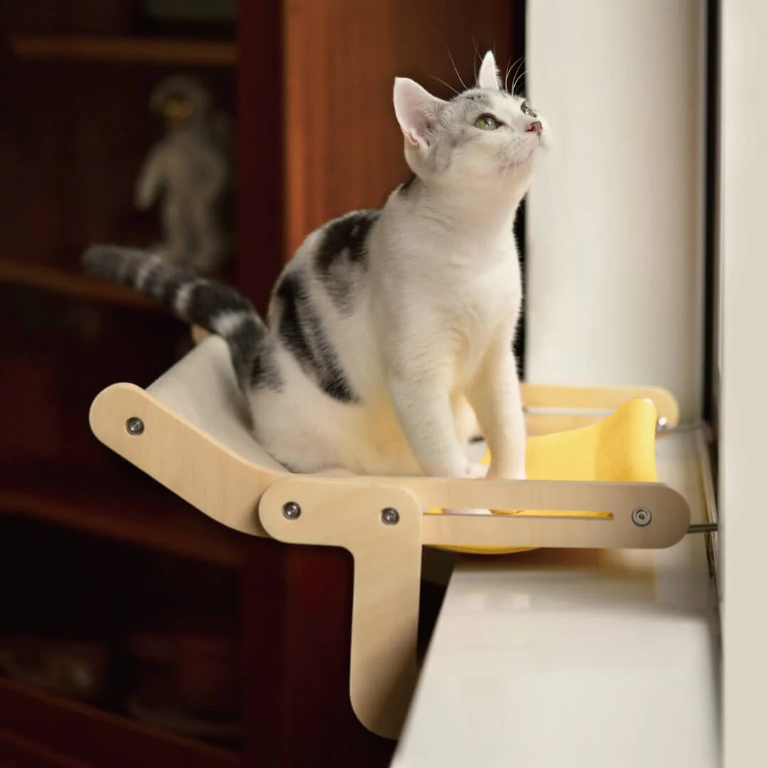Stevige Hangende Kattenmand