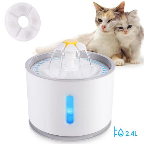 Automatische Waterfontein voor Katten