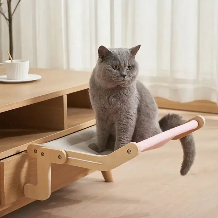 Stevige Hangende Kattenmand