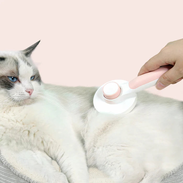 Zelfreinigende Dierenborstel