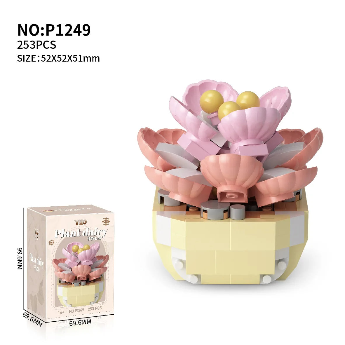 Vetplantjes Bloemenbouwstenen